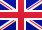 Icon for selected country
